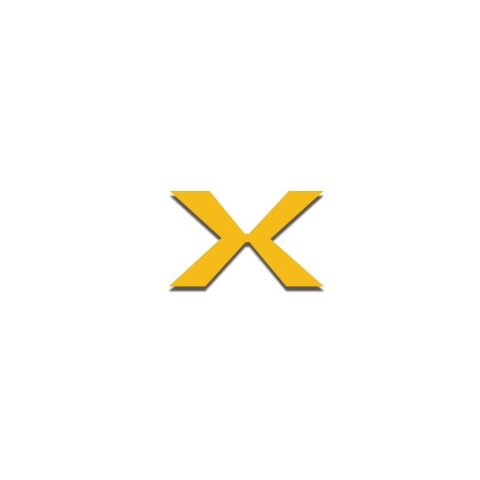 maximize X logo
